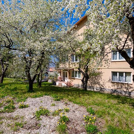 Casa Cu Cires Brasov Apartment ภายนอก รูปภาพ