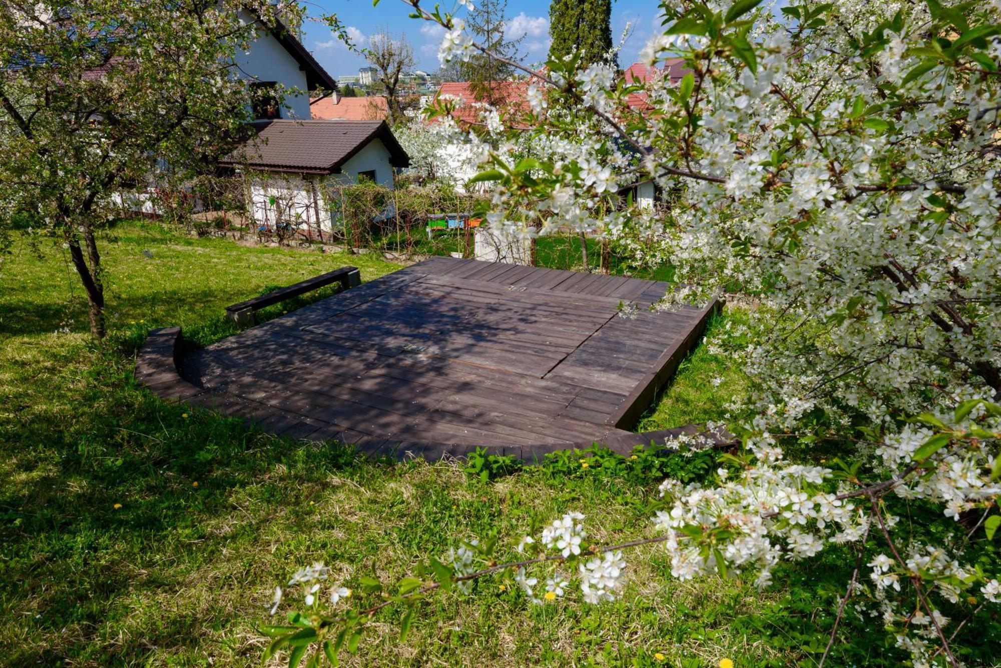 Casa Cu Cires Brasov Apartment ภายนอก รูปภาพ