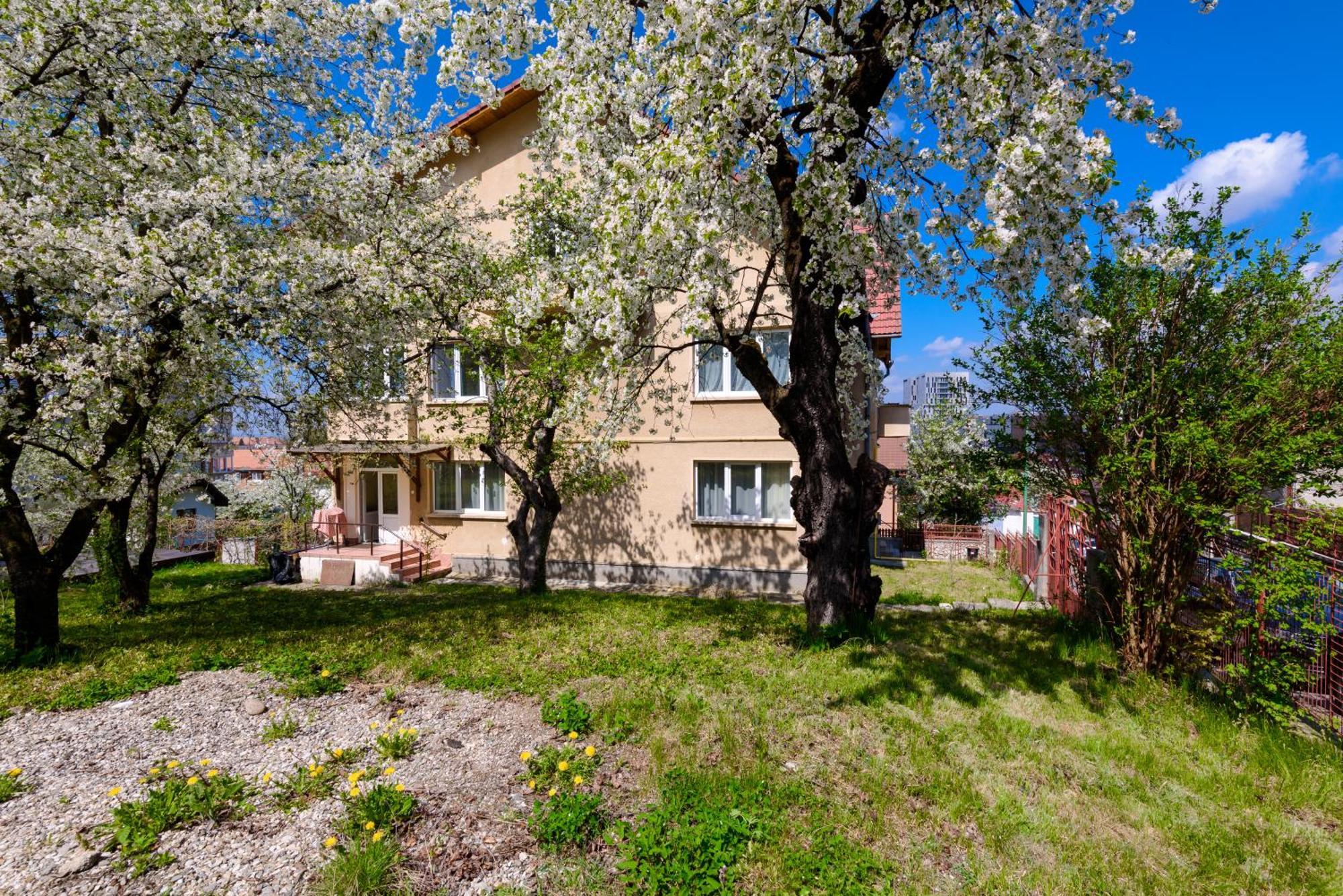 Casa Cu Cires Brasov Apartment ภายนอก รูปภาพ